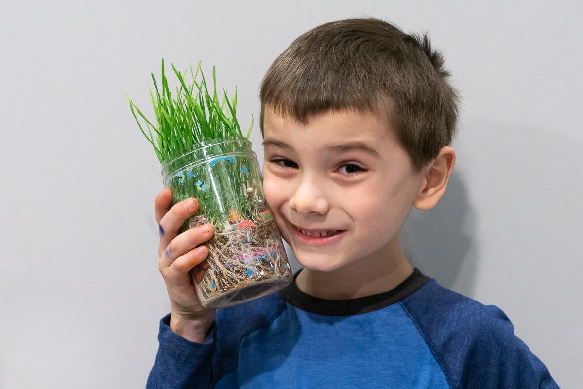 Terrarium Plant Activity