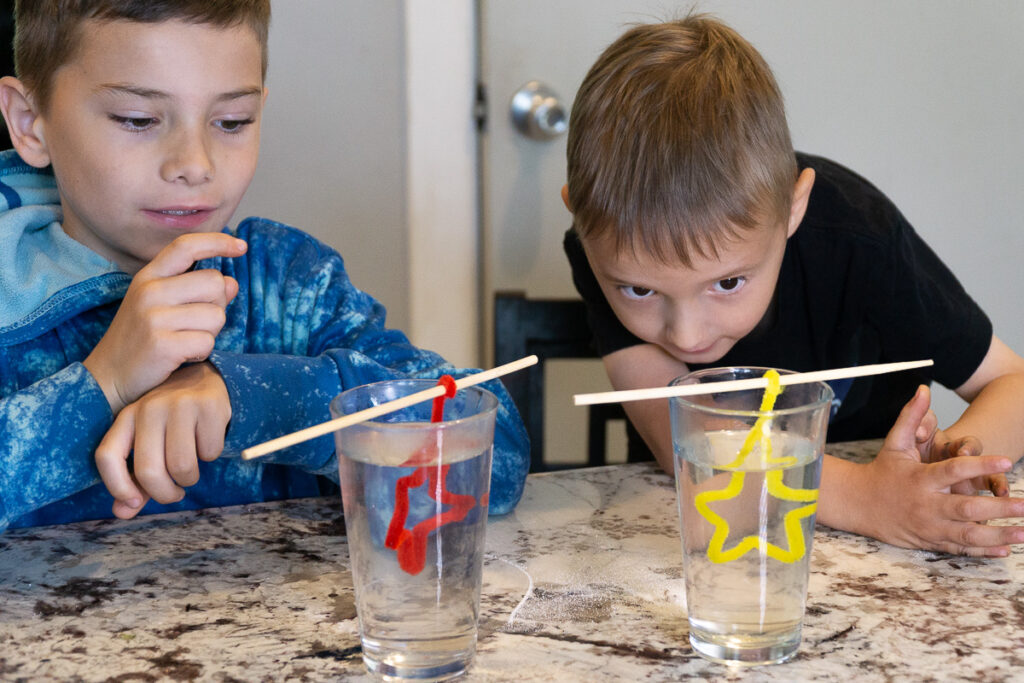 Pipe Cleaner Crystals - place your pipe cleaners in the solution