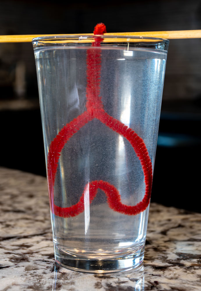 Pipe Cleaner Crystals